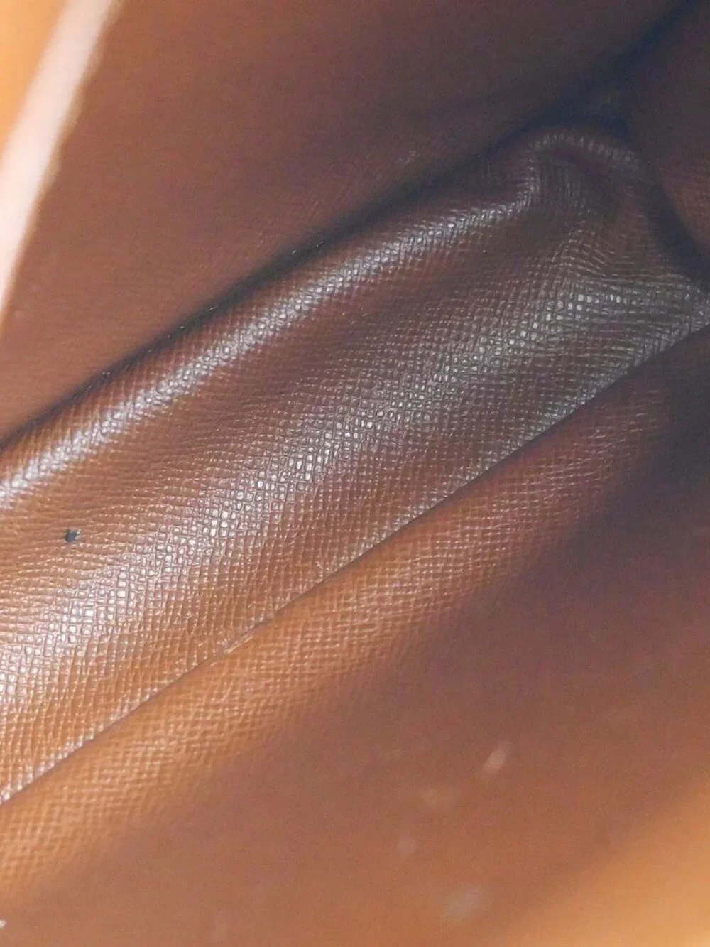 LOUIS VUITTON AMAZON CROSS BODY SHOULDER BAG